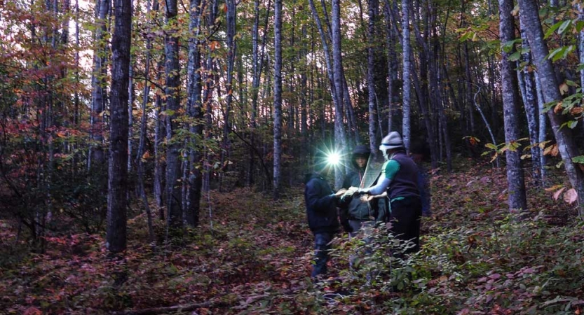 a group of students look at a map illuminated by headlamps on a backpacking trip in the blue ridge mountains